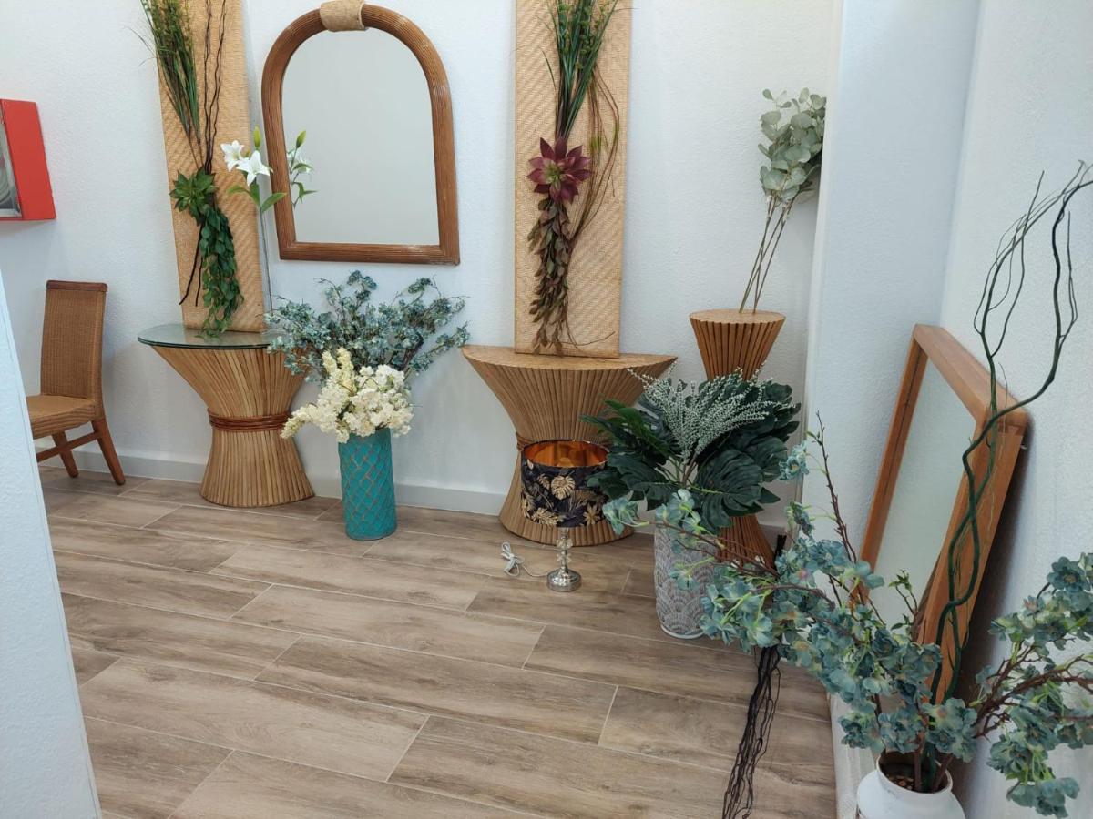 Hostal Garden Rous Paiporta Ngoại thất bức ảnh